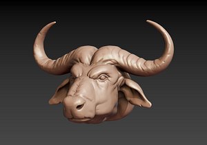 head african buffalo 3D model