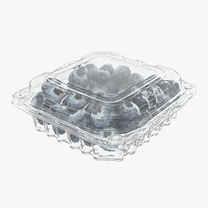 3D Blueberry Package model
