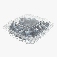 Blueberry Package