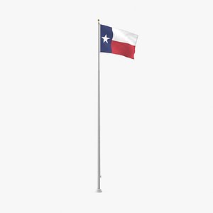 State Flags Texas