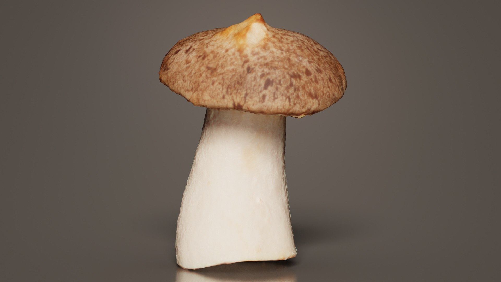 3D model Mushroom Tall 1 Remastered https://p.turbosquid.com/ts-thumb/zR/U3Sjix/gI/mushroom_tall_1_05/jpg/1740363492/1920x1080/fit_q87/1c5fcd99a2e332f4b04347987aebc92c5bb01c4d/mushroom_tall_1_05.jpg