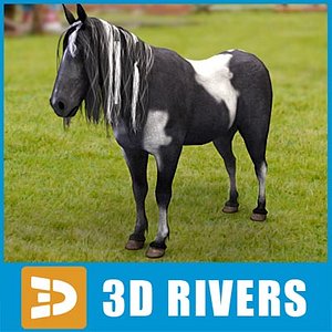 3d black wight pony horse
