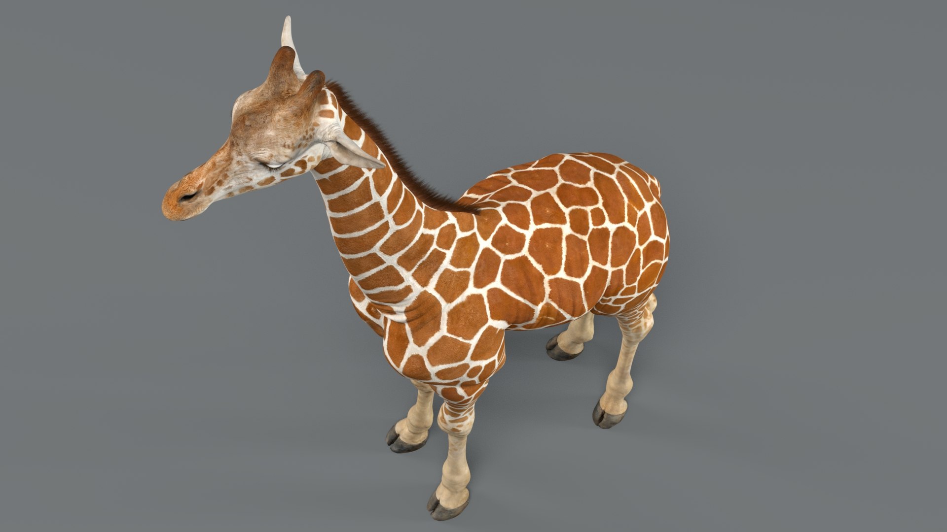 3D Giraffe Rigged - TurboSquid 1705566