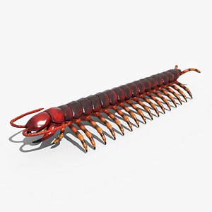centipede 3D model