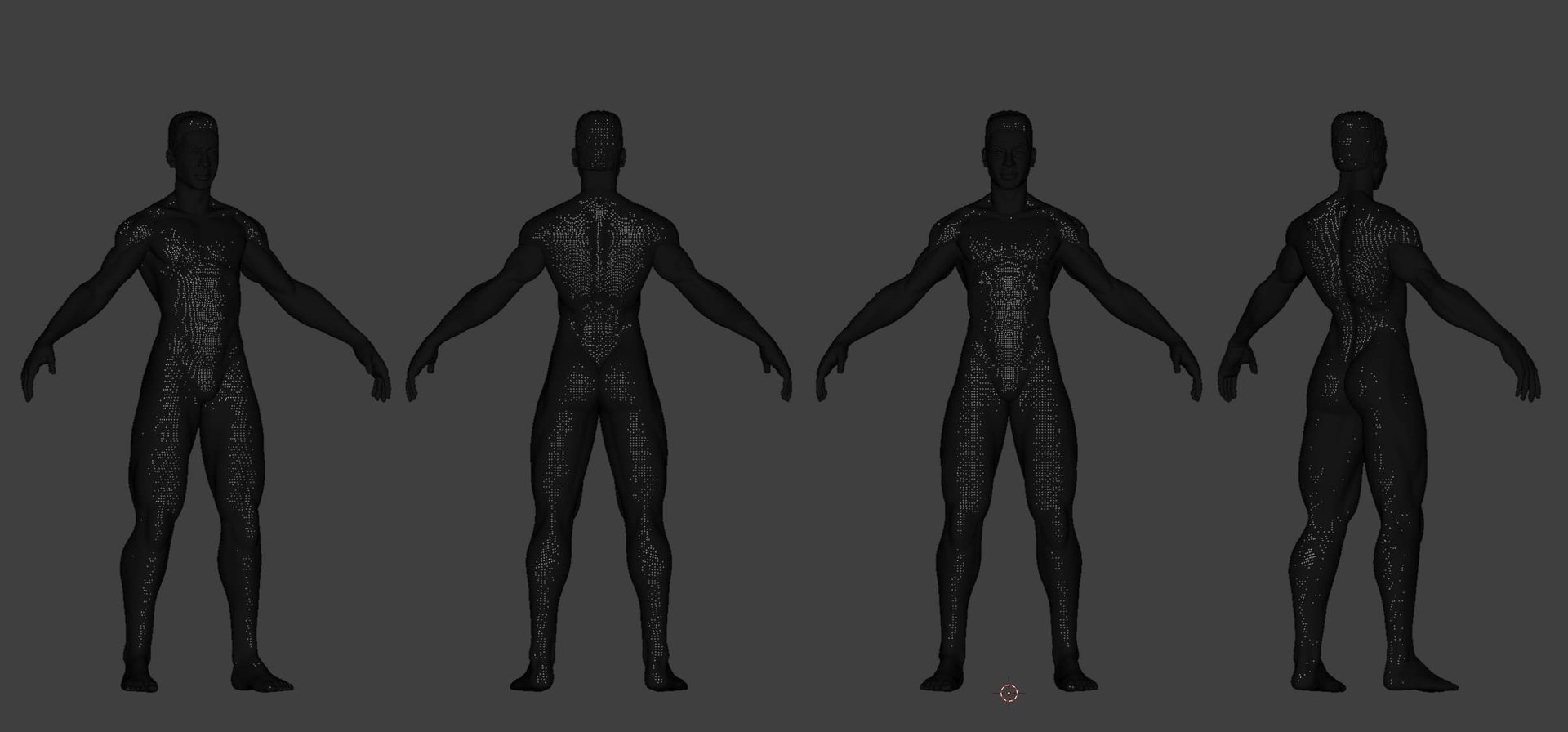 Free Lean Body - Slim Fit Male Anatomy Character Model - TurboSquid 2439002