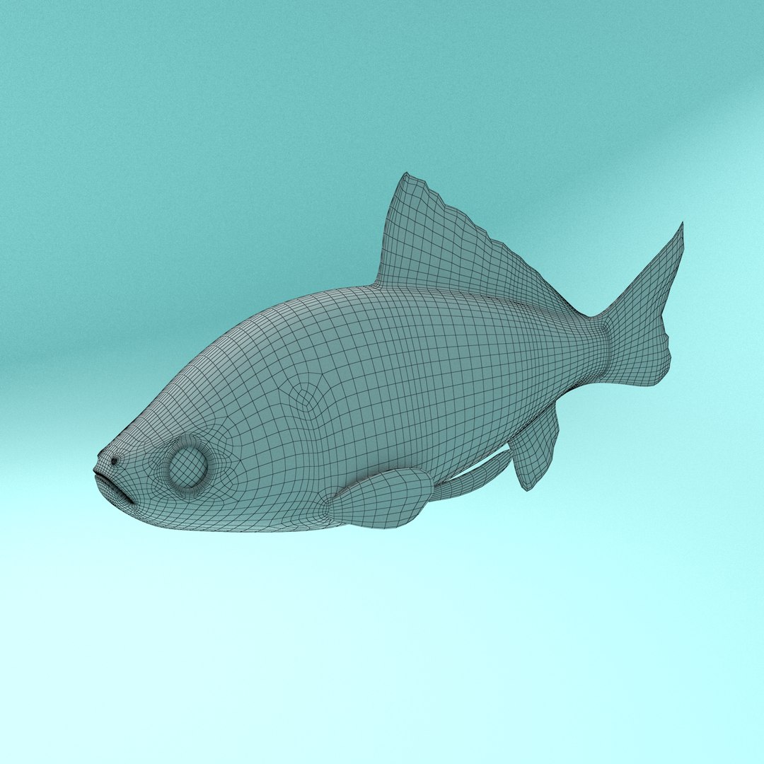 Fish Bowl 3D Model - TurboSquid 1963094