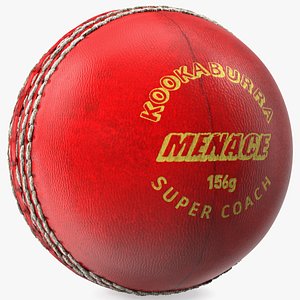 3D model Cricket Ball Kookaburra Menace Fur