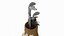 Golf Clubs Set with Bag