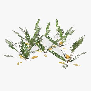 plant lawn 3D model