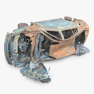 Burned Car Wreck 17