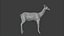 3D Deer model