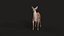 3D Deer model