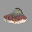 Mushroom 14
