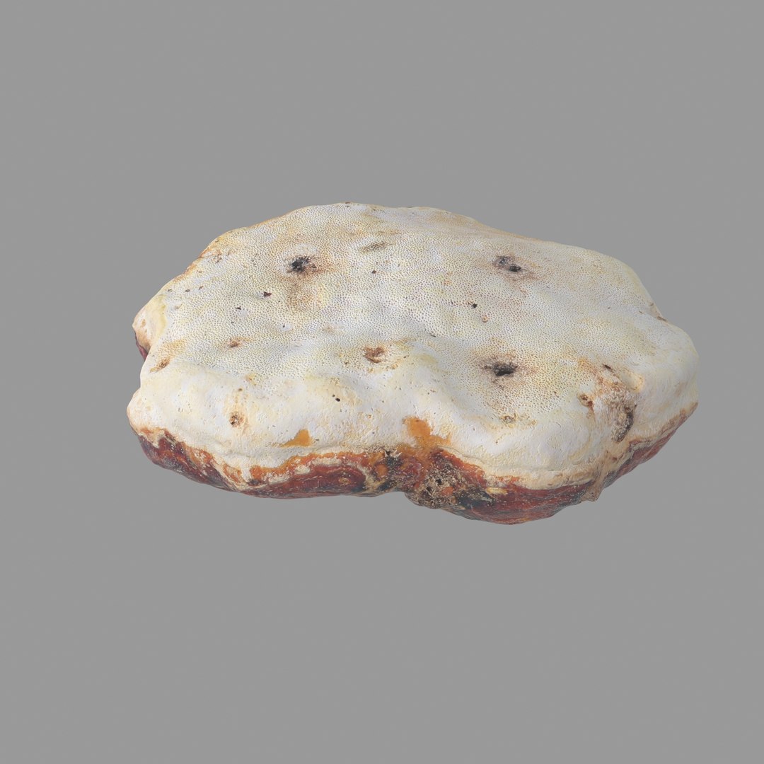 3D scan https://p.turbosquid.com/ts-thumb/zS/KQP8xH/7CcyOa8u/06/jpg/1503994521/1920x1080/fit_q87/1bc8aa3f04b0b10f3466897cf9fe1e6839c83801/06.jpg
