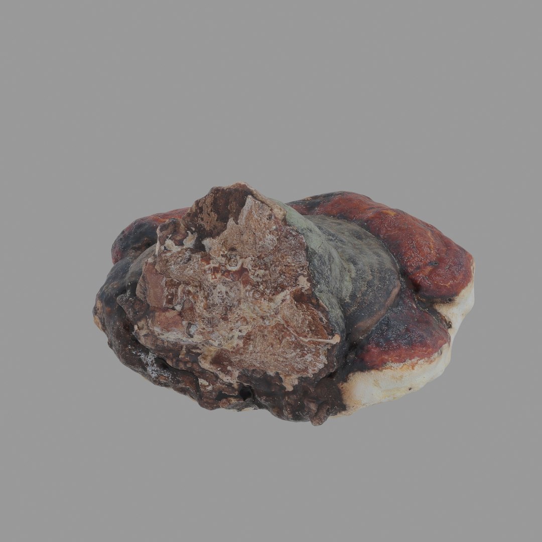 3D scan https://p.turbosquid.com/ts-thumb/zS/KQP8xH/ebYDNA9X/03/jpg/1503994521/1920x1080/fit_q87/d7212af879b2bba0805aa06a07aec55d6164d35c/03.jpg