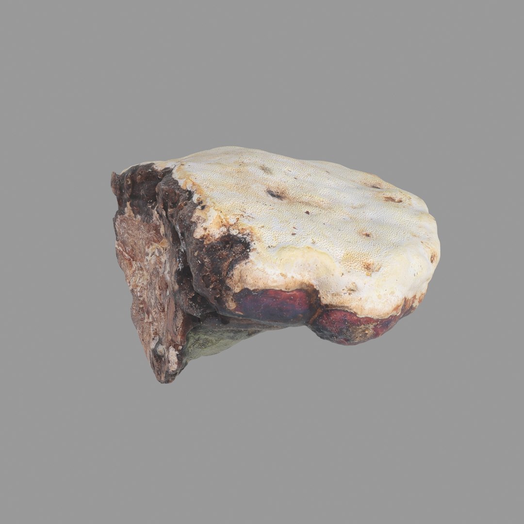 3D scan https://p.turbosquid.com/ts-thumb/zS/KQP8xH/hXLVcVDU/05/jpg/1503994521/1920x1080/fit_q87/054d41b9ccd77e57742712c5416a28351ff152aa/05.jpg