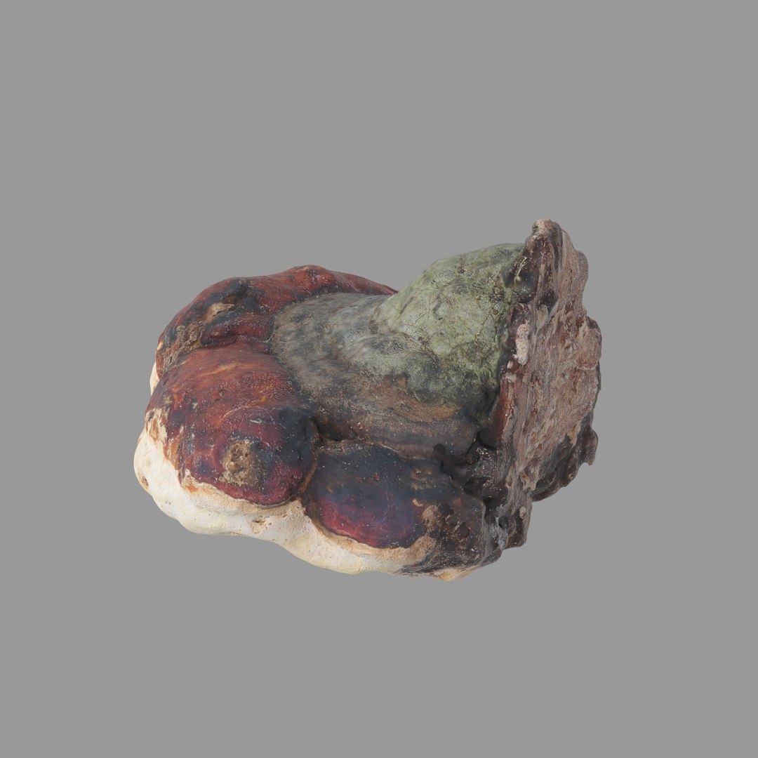 3D scan https://p.turbosquid.com/ts-thumb/zS/KQP8xH/lhlvRtyT/02/jpg/1503994521/1920x1080/fit_q87/706d4338f3ea9470500733d37dfc7fab5397be44/02.jpg