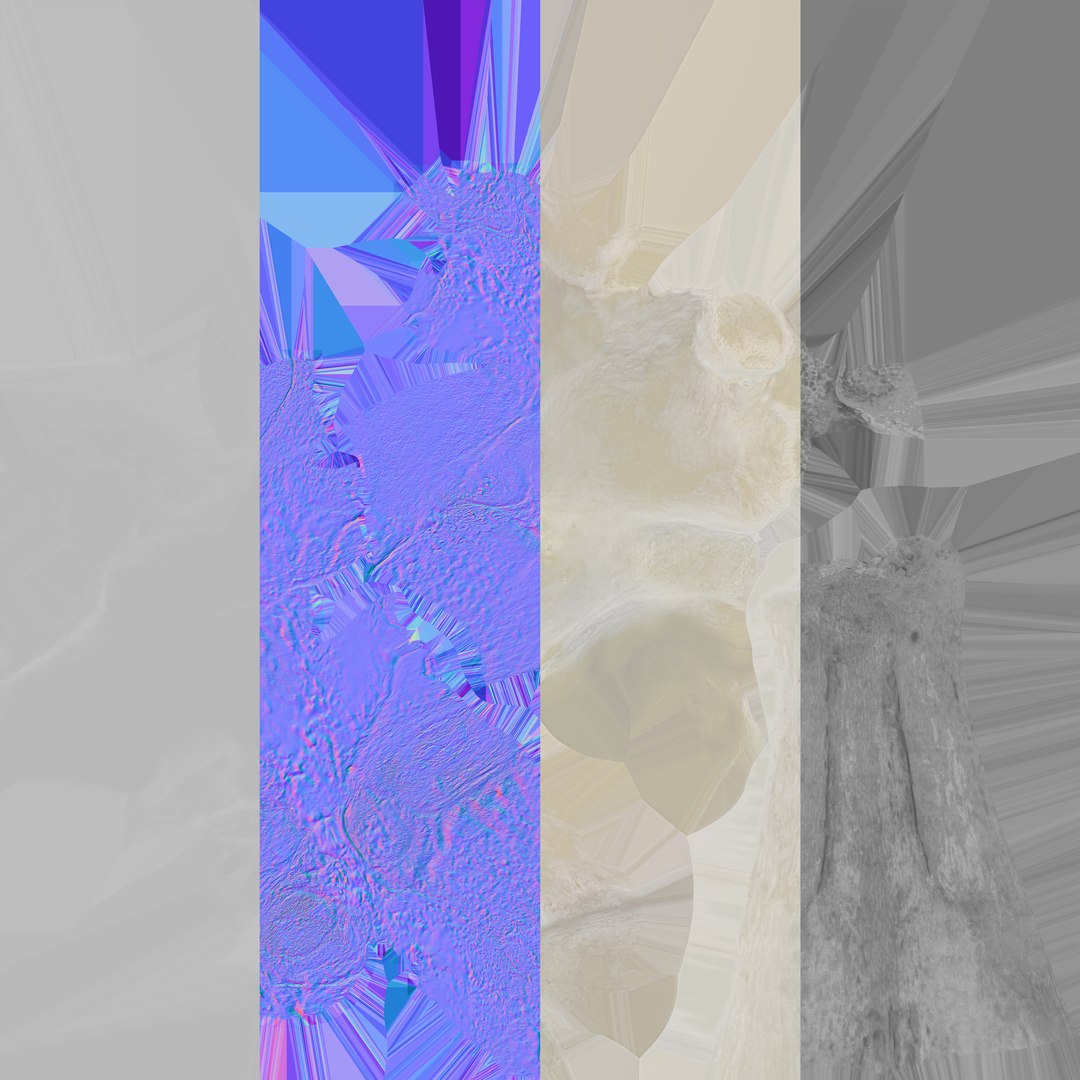 3D model Domestic Cat Toracic Vertebrae TH1 https://p.turbosquid.com/ts-thumb/zS/X71DhU/Pl/domestic_cat_toracic_vertebrae_th1_textures/jpg/1640077371/1920x1080/fit_q87/734350f08ed42db92c9cb105cc752f8b139a5e0c/domestic_cat_toracic_vertebrae_th1_textures.jpg