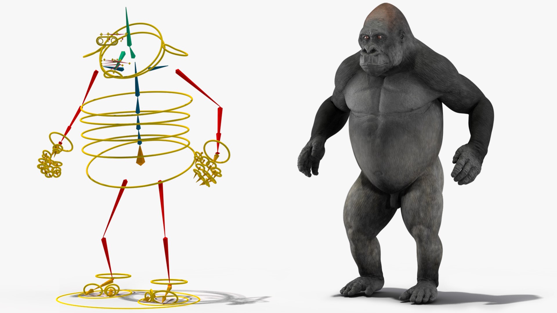 Rigged Gorilla Animated Collection 3D Model - TurboSquid 2299546