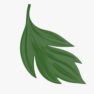 3D Leaf Cartoon