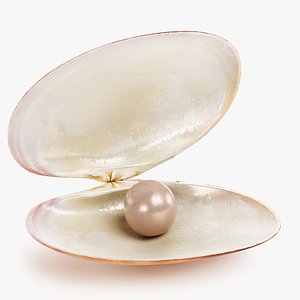 Clam with Pearl 1