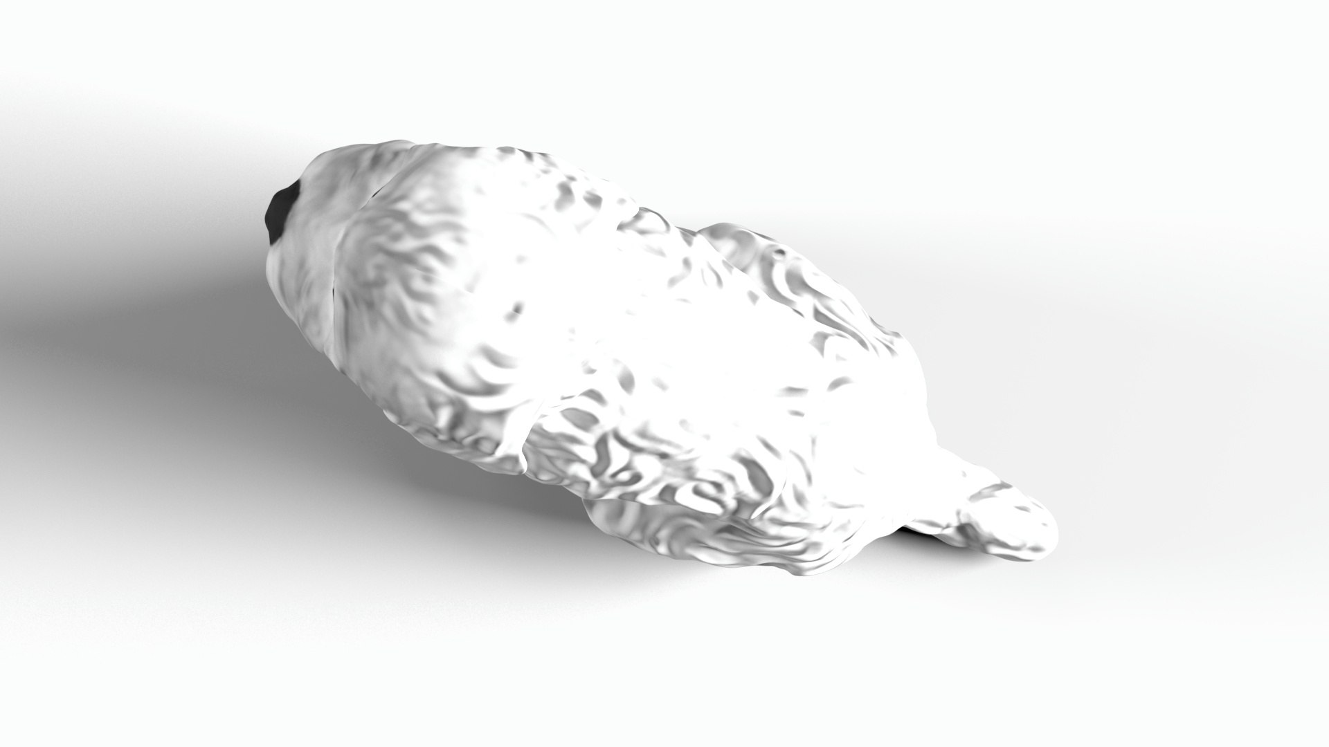 3D Labradoodle model https://p.turbosquid.com/ts-thumb/zS/jOMWNK/R3/labradoodleangle5/jpg/1740184791/1920x1080/fit_q87/3ea254fe1b6536f3c8784224033026db322b1a38/labradoodleangle5.jpg