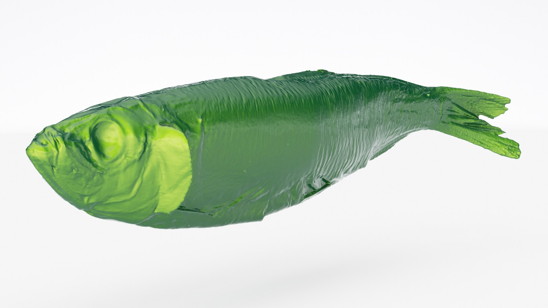 3D Atlantic Herring 3d Scan Model - TurboSquid 2396318