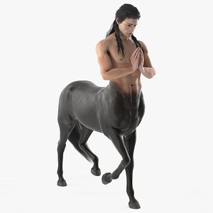 Creature Long Hair Centaur Rigged