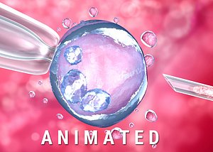 Artificial insemination : glass needle fertilizing a female egg