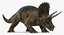 triceratops skeleton fossil rigged 3D
