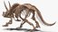 triceratops skeleton fossil rigged 3D