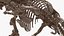 triceratops skeleton fossil rigged 3D