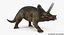 triceratops skeleton fossil rigged 3D