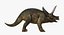 triceratops skeleton fossil rigged 3D
