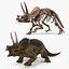 triceratops skeleton fossil rigged 3D