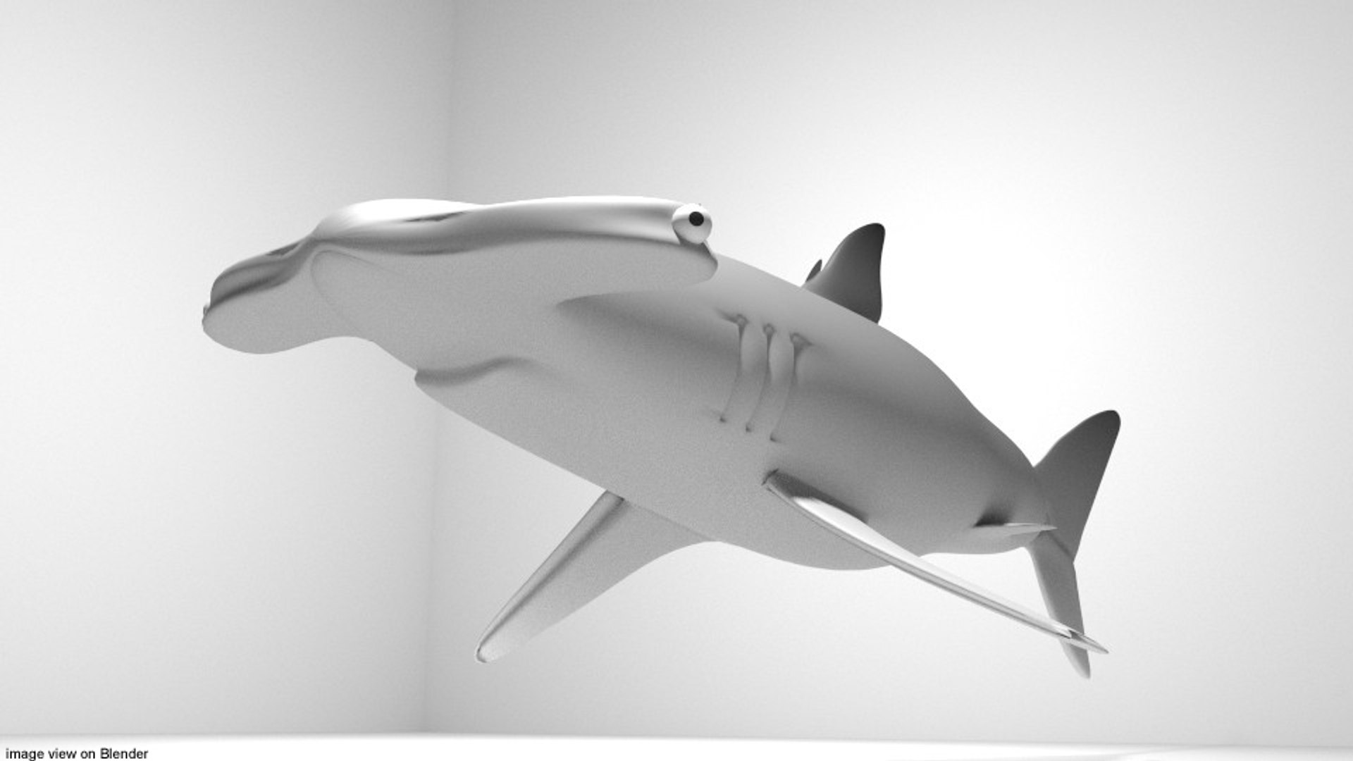 Hammerhead Shark Model - TurboSquid 1171023
