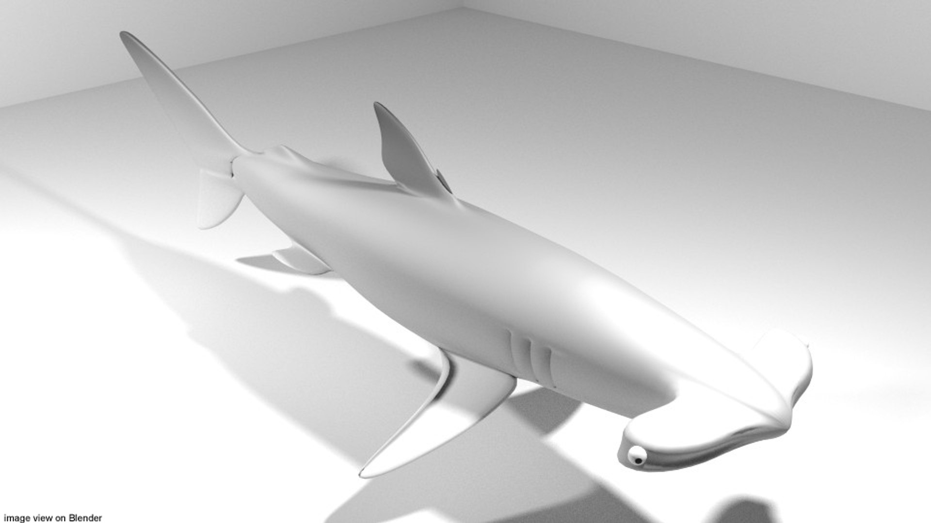 Hammerhead Shark Model - TurboSquid 1171023