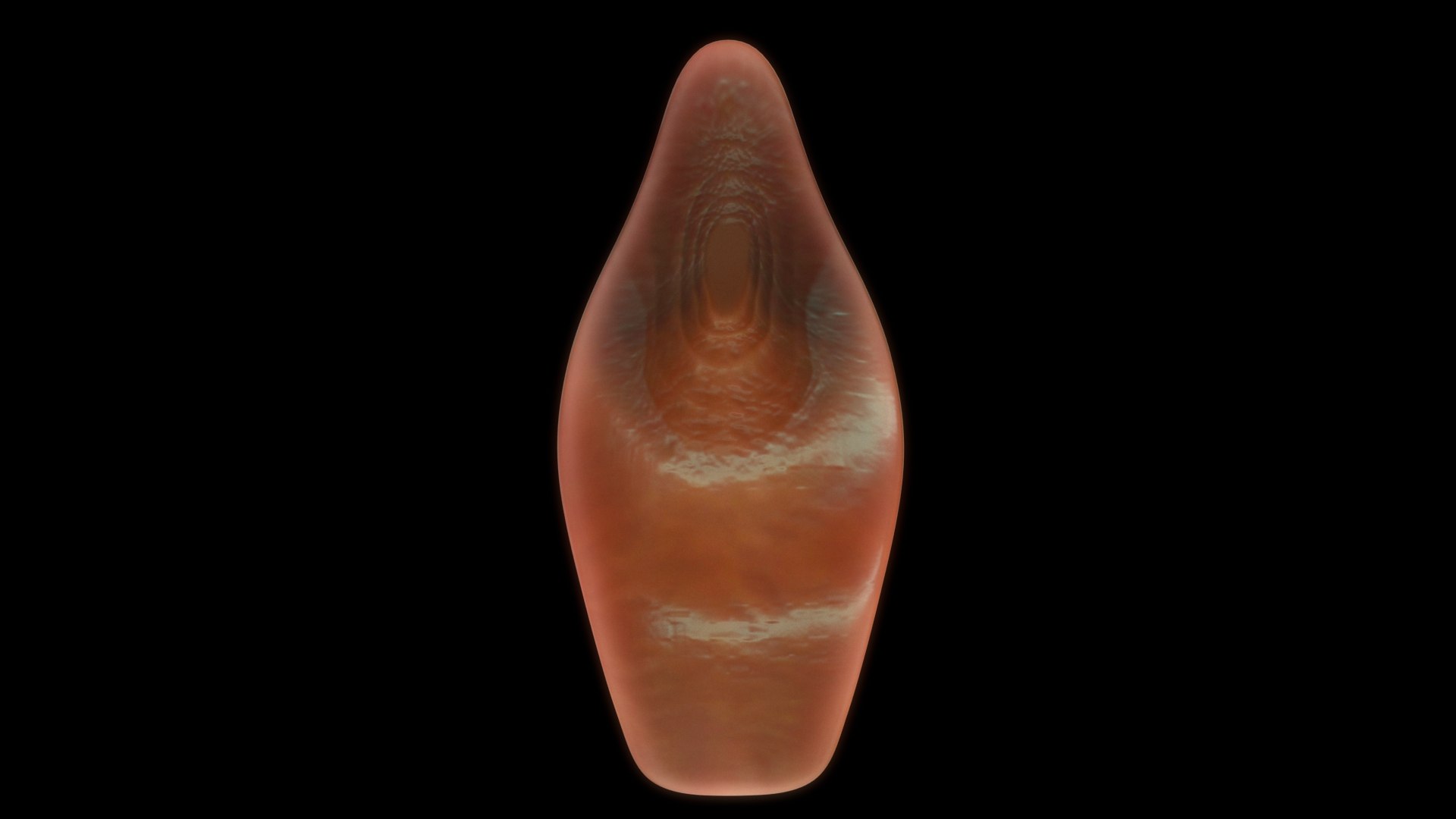 Hymen 3D Model - TurboSquid 2308438
