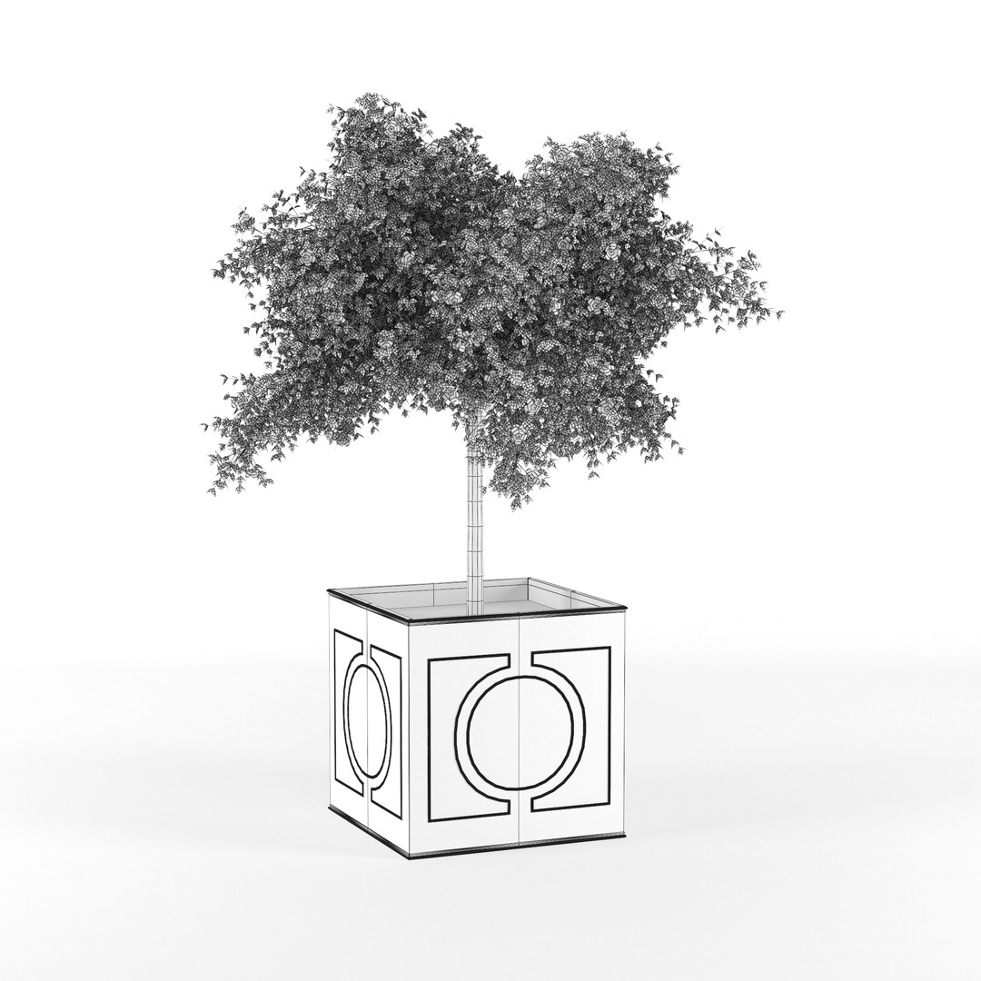 Hibiscus 3D Model - TurboSquid 1321163