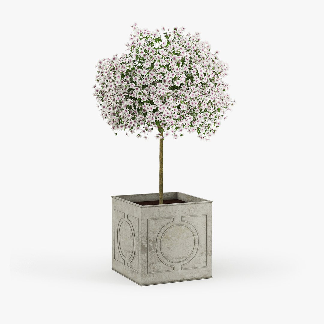 Hibiscus 3D Model - TurboSquid 1321163