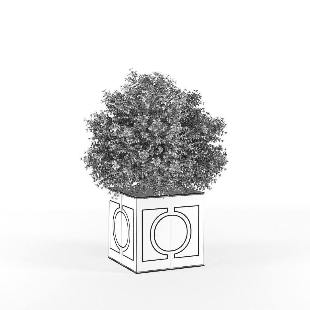 Hibiscus 3D Model - TurboSquid 1321163