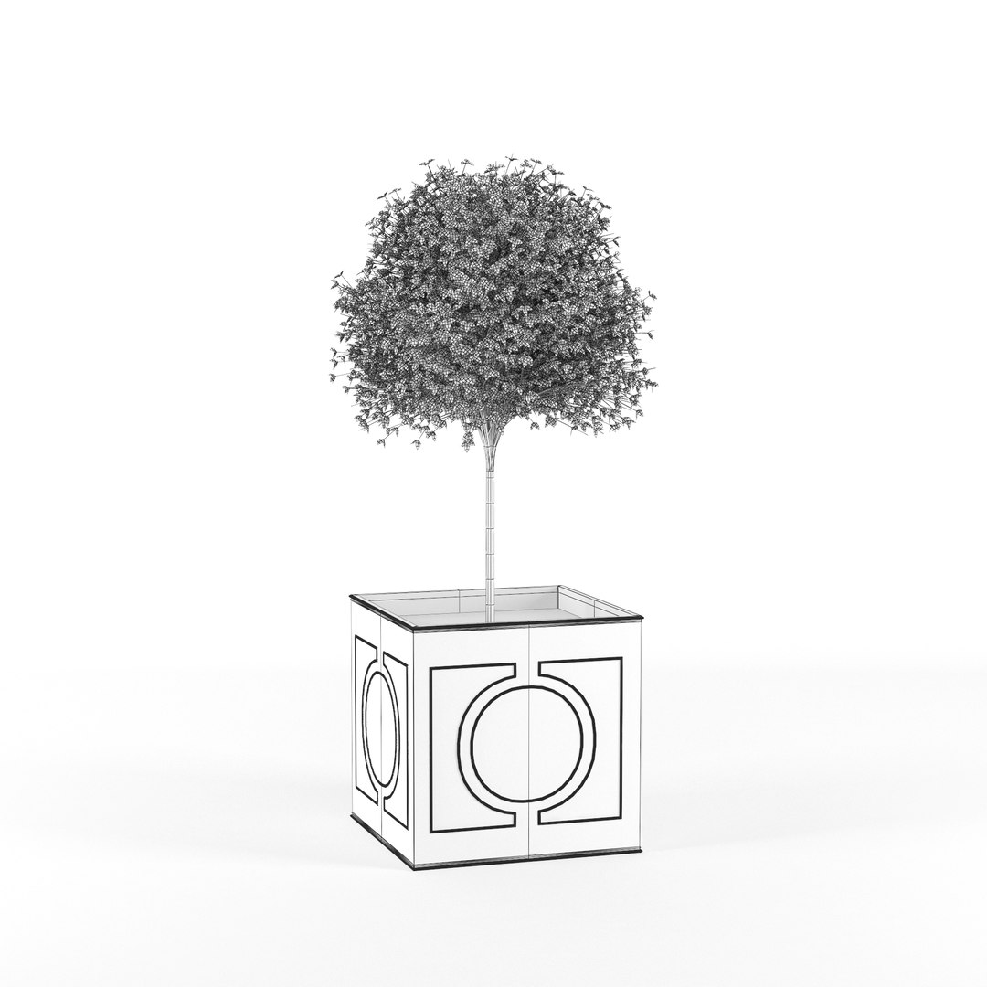 Hibiscus 3D Model - TurboSquid 1321163