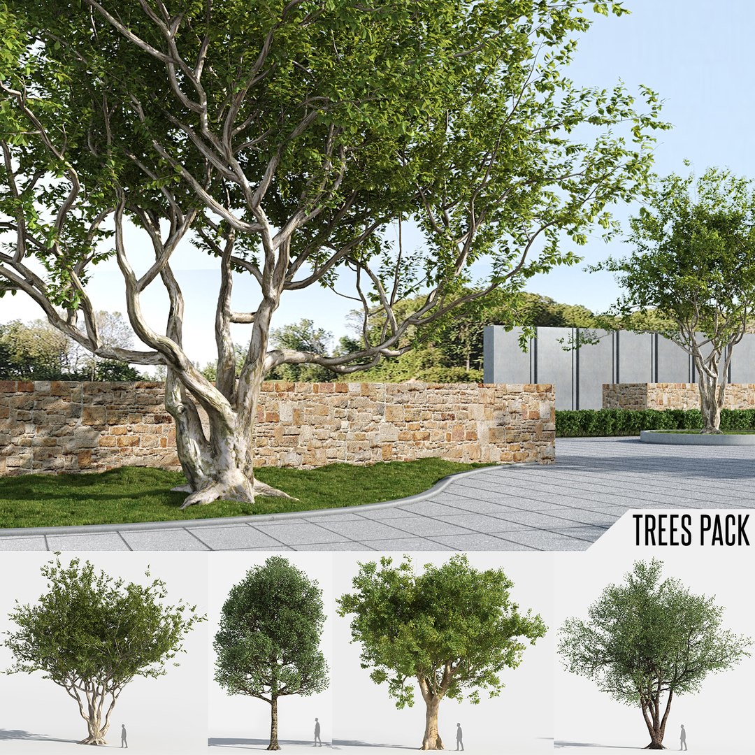 3D trees pack growfx model https://p.turbosquid.com/ts-thumb/zT/Nff50y/8L8hZx68/trees_pack_1/jpg/1580836170/1920x1080/fit_q87/0cf2dd279e8c3e7ff32e26e91cb6f02758927fe6/trees_pack_1.jpg