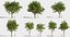 Trees Pack (+GrowFX)