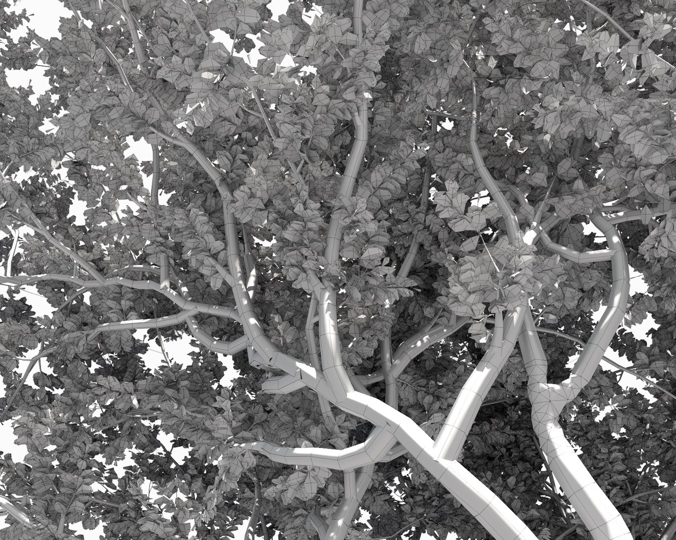 3D trees pack growfx model https://p.turbosquid.com/ts-thumb/zT/Nff50y/K03rtcqB/trees_pack_21/jpg/1567788427/1920x1080/fit_q87/af8494a8378f4ebf1c7cf6f7b75f465d6304c2d2/trees_pack_21.jpg