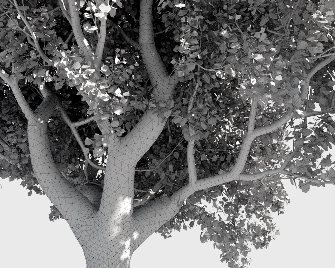 3D trees pack growfx model https://p.turbosquid.com/ts-thumb/zT/Nff50y/YfG3I5l1/trees_pack_22/jpg/1567788427/1920x1080/fit_q87/c7c2c7d89e2f02bf5859f208df7eadabe7a27736/trees_pack_22.jpg