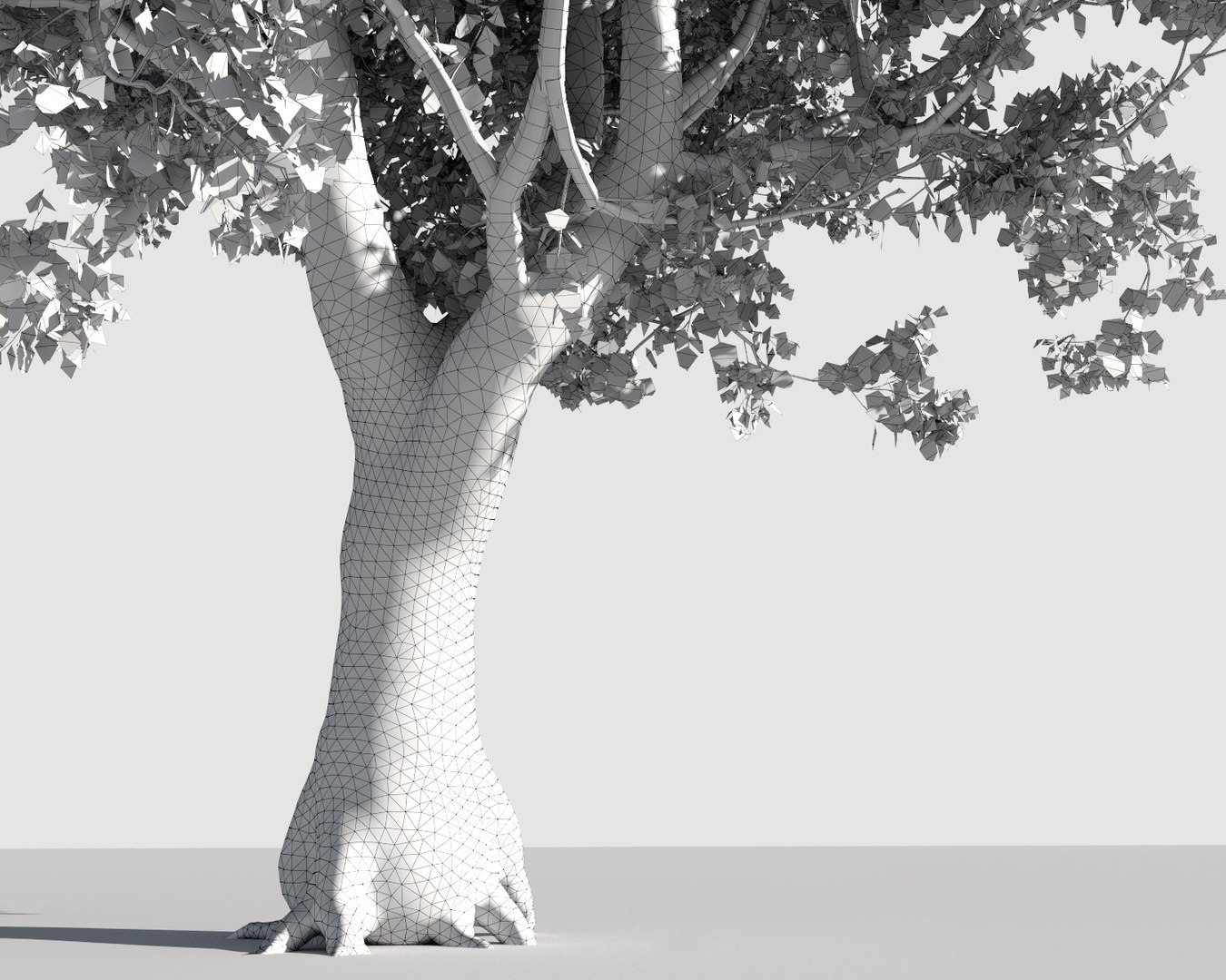 3D trees pack growfx model https://p.turbosquid.com/ts-thumb/zT/Nff50y/sTqbicg7/trees_pack_23/jpg/1567788427/1920x1080/fit_q87/10069c93b089d8336d503c0e7664c26ec321754f/trees_pack_23.jpg