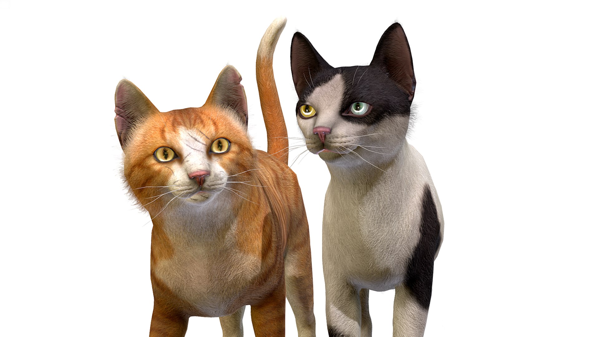 3D Cats Family model https://p.turbosquid.com/ts-thumb/zT/k831uQ/kX/str1/png/1689520024/1920x1080/fit_q87/d5ad0800229b333c6c2955e48fb16267a8aa35f6/str1.jpg
