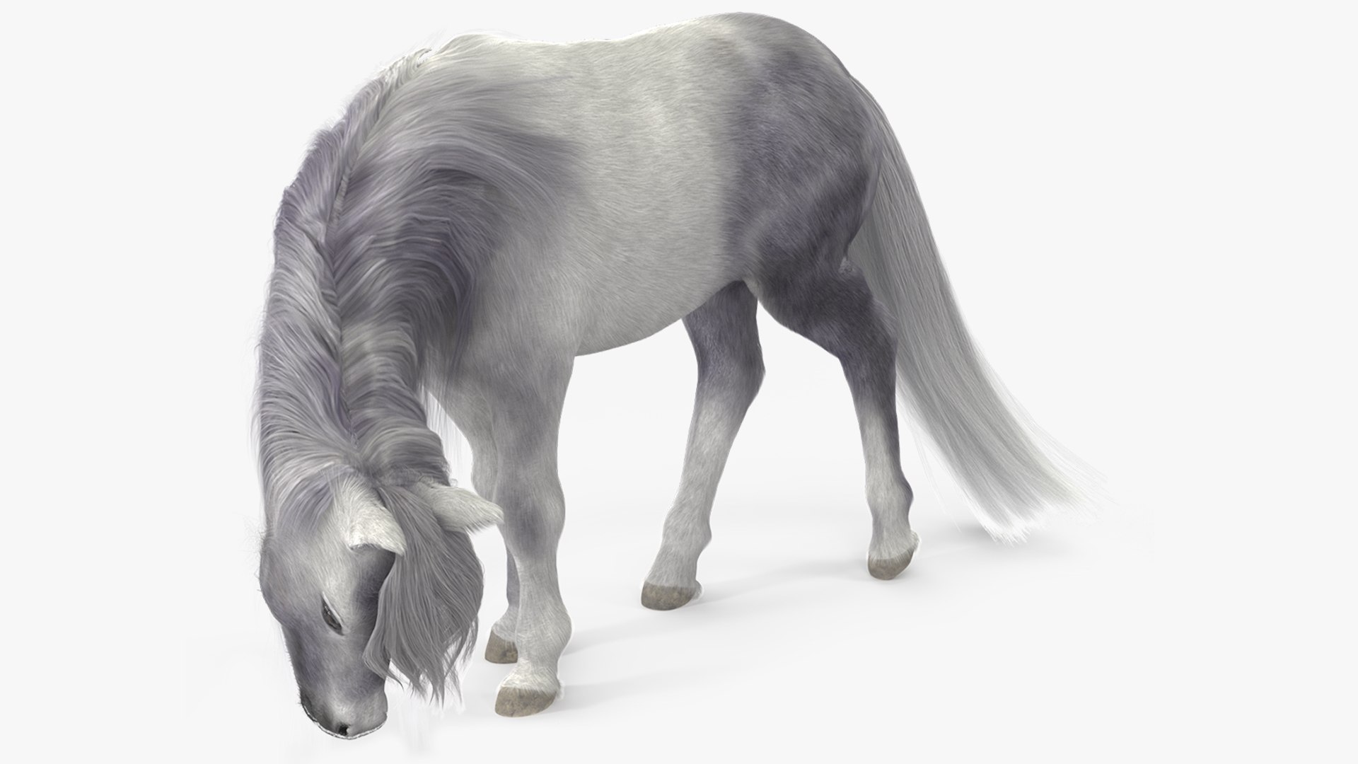 White Pony with Long Mane Grazing Fur 3D model preview