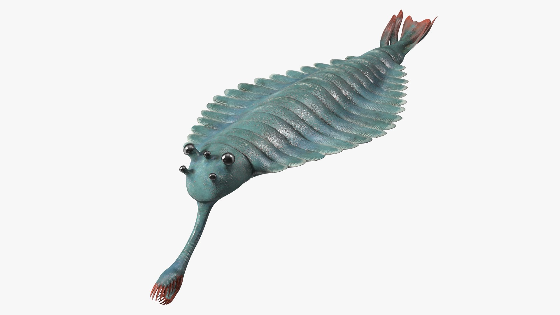Green Opabinia 3D model preview